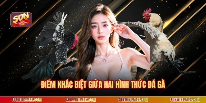 Điểm khác biệt giữa hai hình thức đá gà