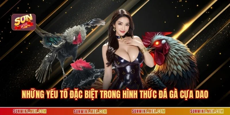 Những yếu tố đặc biệt trong hình thức đá gà cựa dao